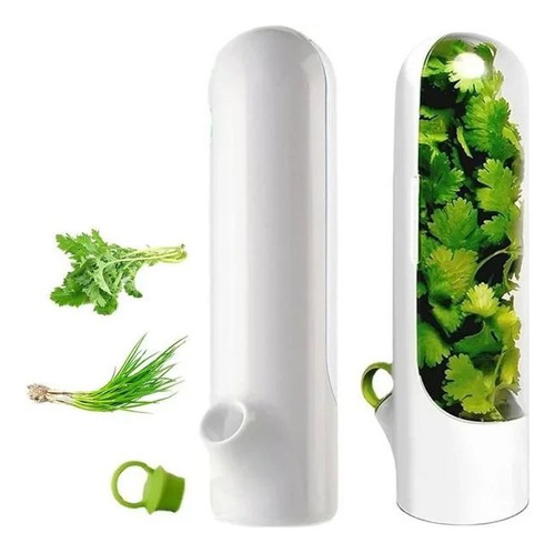 Contenedor Conservador De Hierbas Y Verduras Frescas