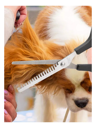 Tesoura De Grooming Para Cachorros Gatos Pets Cor Preto