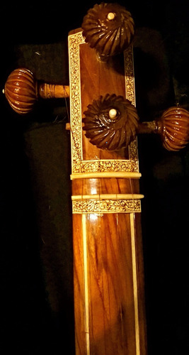 Tambura Tampuri Tamboura Hindu De La India Profesional