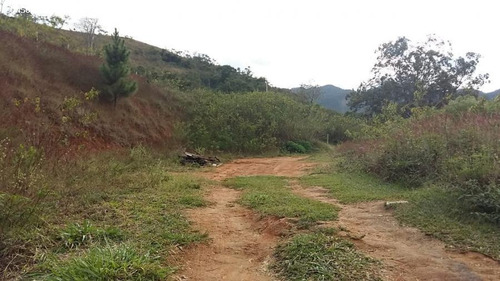 Imagem 3 de 4 de Terreno Para Venda Em Teresópolis, Posse - Trn-100_1-947200