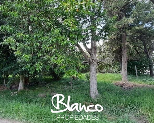 Imagen 2 de 3 de Oportunidad! Hermoso Lote De 250 Metros Dentro Del Barrio De Vicenzo Grande - Pilar
