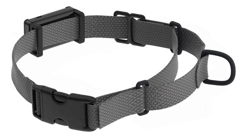 Clips De Fijación Para Correa De Collar Cube Gps Tracker Y Y