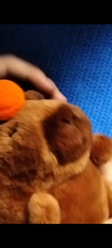 Llavero De Peluche Capibara Cola Giratoria Cuerda Retractil Marrón