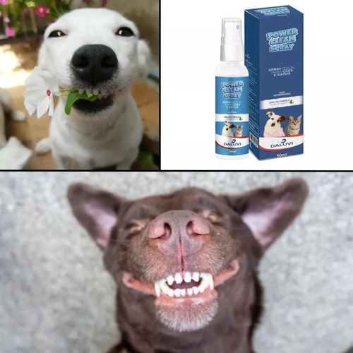 Produto Para Remover Tartaro Dos Dentes Canino Power Clean Sabor Menta