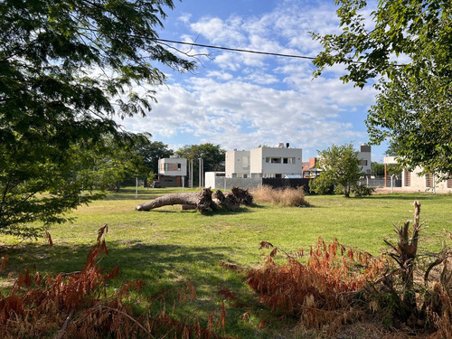 Lotes En Venta Calle 42 Y 149, San Carlos I Barrio Liquidámbar