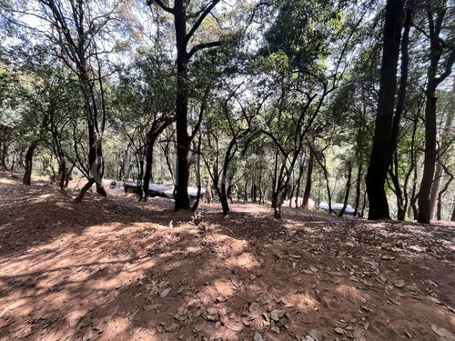 Terrenos Ecológicos En Venta, Santa Rosa Xochiac, Álvaro Obregón, Cdmx