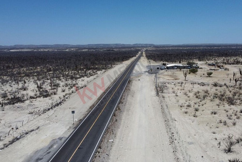 Terreno De 1,000 Ha En Km 97 Carretera A C.constitucion Con Ojo De Agua B.c.s.