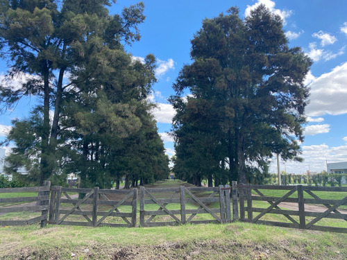 Venta De Lote En Roldan El Molino
