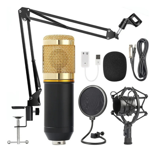 Kit Microfono Condenser Bm-800 + Soporte + Antipop + Cable 