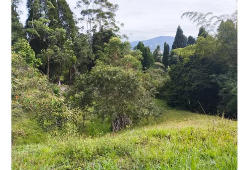 Venta De Lote En Guarne, Vereda Hojas Anchas