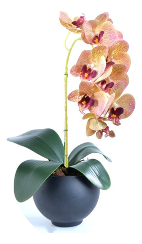 Arranjo De Orquídea Outonada Em Vaso Preto Fosco Rafa