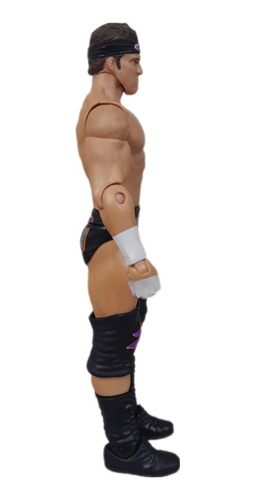 Wwe Mattel Series Zack Ryder Figura Matt Cardona (Usado)