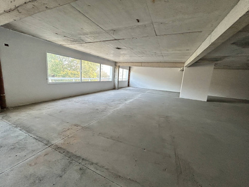 Imagen 5 de 7 de Alquiler - Oficina Para Adaptar 649 M2 En Planta, Tres Cruces - Francisco Canaro Y Bv. Artigas