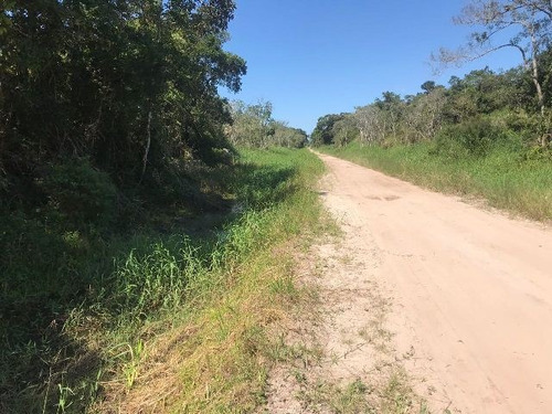 Imagem 3 de 4 de Terreno No Litoral Com 415 M², Em Itanhaém/sp 4028-pc