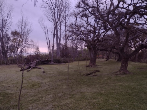 Lote Quinta Arroyo Ñacurutu Zarate