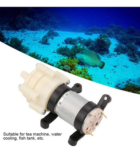 Mini Bomba De Agua Potable De Diafragma, Mini Bomba De Agua