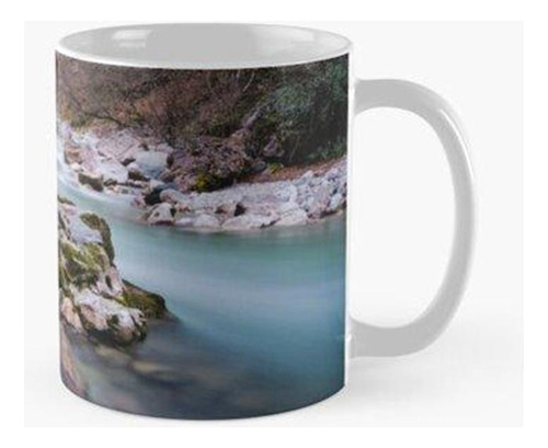 Taza Cascada Exotica Calidad Premium