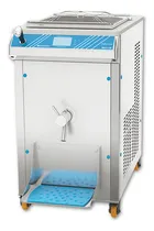Comprar Pasteurizador Cocinador 60 Lts Heladería-lecheria Y Afines