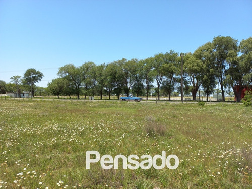 Imagen 16 de 18 de En Venta 1 Hectarea Con Servicios