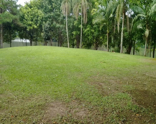 Imagem 14 de 30 de Sítio À Venda Juquitiba, - 40 - 32982678