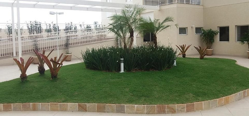 Imagem 18 de 30 de Apartamento 71 M² Para Venda No Macedo! - Ap0597