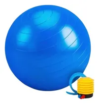 Comprar Pelota Pilates Yoga 65cm Con Inflador - Gimnasia - Fitness