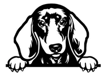 Comprar Calcomanía Tuning  Para Auto, Perrito Salchicha Dachshund