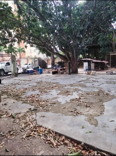 Vende Terreno Monte Alegre. M.c.