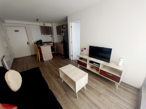 Departamento 1 Dormitorio Amoblado, Concepción