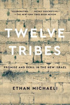Libro Twelve Tribes : Promise And Peril In The New Israel...