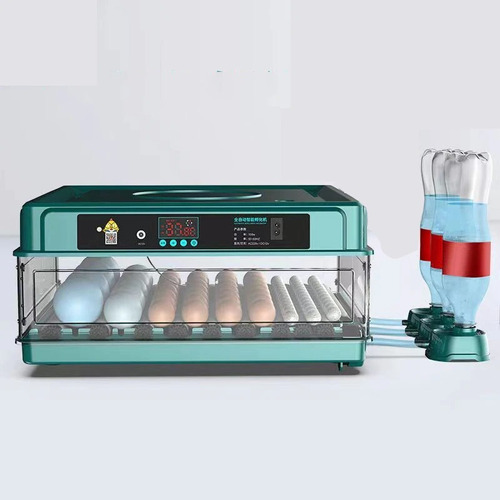 Incubadora De Huevos Hasta 30 Pzas Digital Volteo Automático