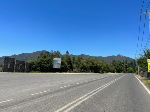 Venta Parcela De 5.000 Mts2 En Valle Tranquilo Zapallar .