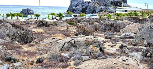 Sitio Frente Al Mar El Arrayán Costero
