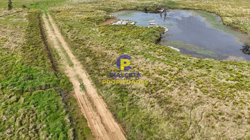5 Hectáreas En Canelones, Zona De Noya
