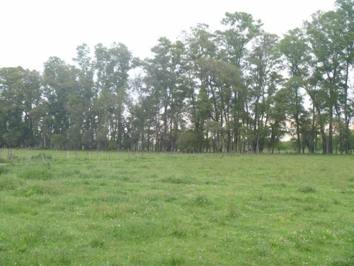 Imagen 7 de 20 de Casa Campo En Venta Ubicado En Pilar, G.b.a. Zona Norte