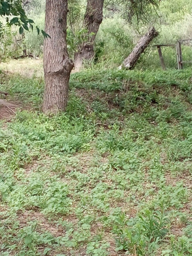 Imagen 28 de 30 de Paraíso Escondido , Campo De 78 Hectareas, En Venta En San Luis, Al Pie De Las Sierras Altas, Valle, Vista Única, Con Río Al Fondo , Bosque Nativo, Realmente Unico,,,para Mudarte Y Cambiar De Vida
