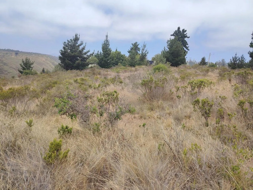 Inversión Segura Parcela 5042 M2 Con Vistas Y Pozo Propio