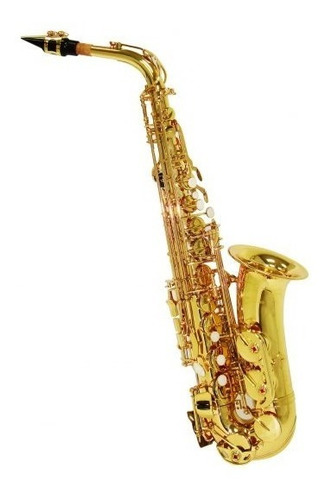 Sax Alto Shelter Sft6430l Laqueado Dourado Com Case 