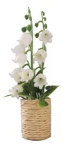 Comprar 4 X 1\u002F12 Mini Planta En Maceta Bonsái Modelo Casa De