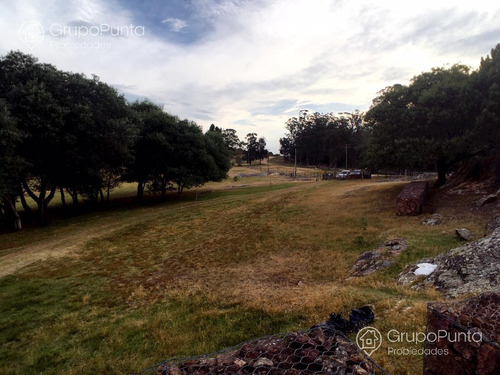 Imagen 3 de 29 de Chacra En Venta - La Pataia