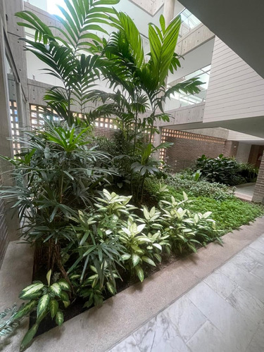 Espectacular Apartamento En Venta - Campo Alegre. (mg)