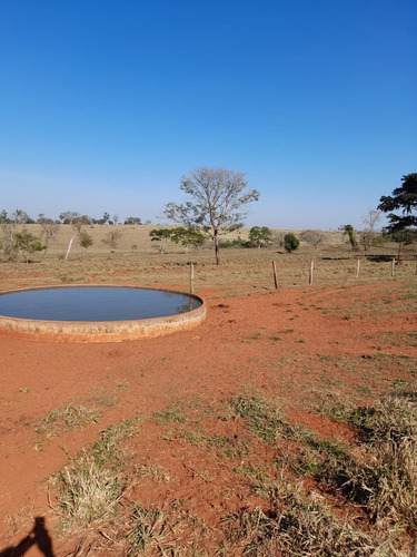 Imagem 2 de 11 de Fazenda Para Pecuária Venda Em Paranaiba-ms, Com 268 Hectares, Beira Rio Paranaiba, Casa E Varias Benfeitorias, Plana, Terra Mista Avermelhada - Fa00397 - 70075757