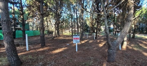 Imagen 1 de 7 de Venta. Lote En Paseo Del Bosque Von Todos Los Servicios