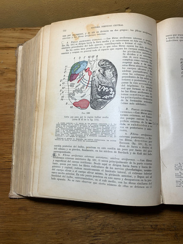 Tratando De Anatomía Humana, Segundo Tomo. 1933 (Usado)