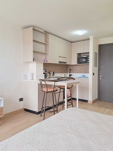 Estupendo Home-studio Amoblado, Centro Ccp. (93046)
