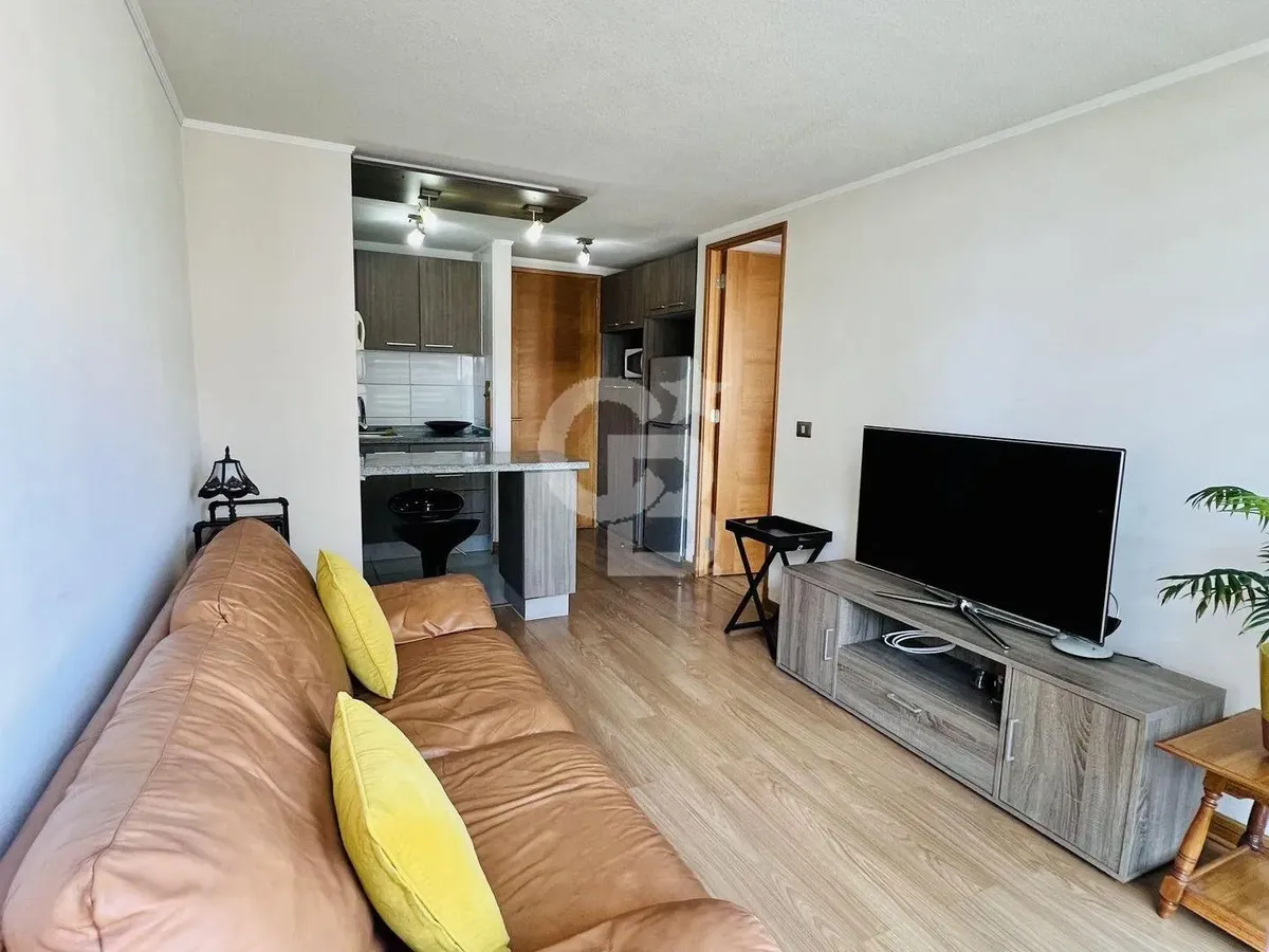 Imagen 3 de 24 de Departamento En Parque Brasil