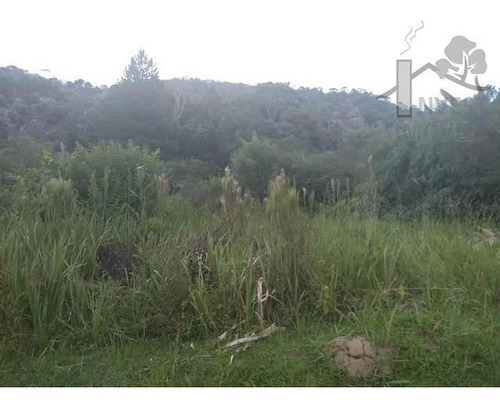 Imagem 3 de 4 de Cód 3104 - 30.000 M² De Área Com Água De Mina - 3104