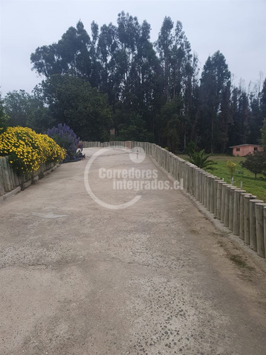 Condominio Consolidado, 4 Dorm. En Quintero