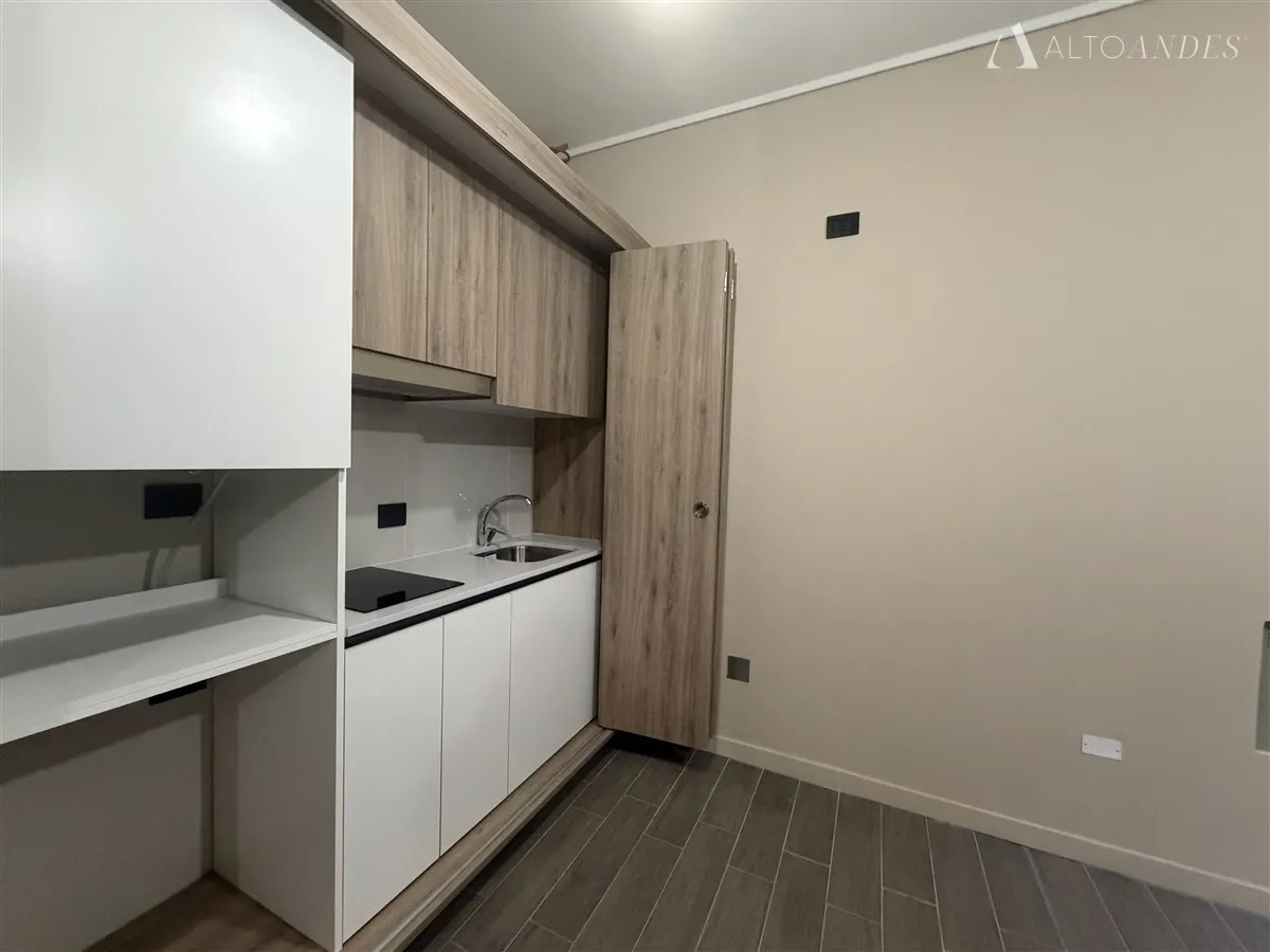 Imagen 4 de 12 de Departamento En Arriendo En Providencia