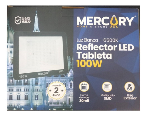 Reflector Led 100w Luz Blanca Delgado